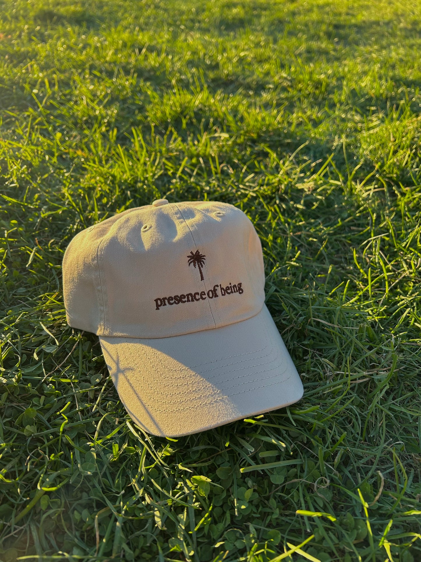 Presence of Being Hat (Stone)